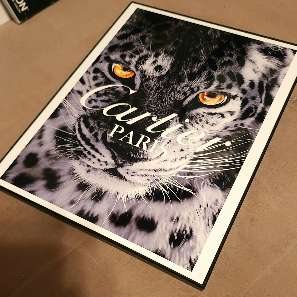 Ladyilly 8 1/2"x11" Framed Wall Art - Picture 3 of 6